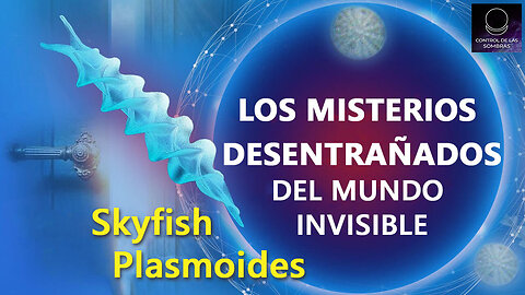 LOS MISTERIOS DESENTRAÑADOS DEL MUNDO INVISIBLE. Skyfish. Plasmoides.
