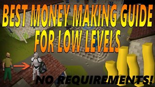 BEST Money Making Guide In OSRS 2020 No requirements, low levels