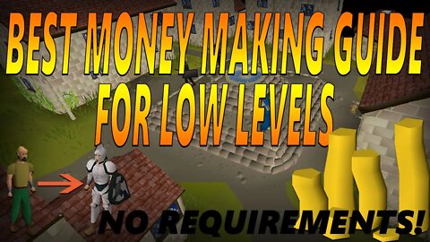 BEST Money Making Guide In OSRS 2020 No requirements, low levels