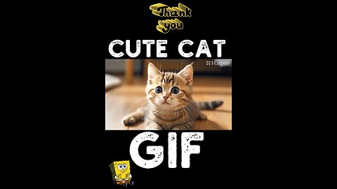 Cute Cat Gif