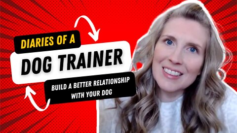 Diaries Of A Dog Trainer: The 10 Things I've Learned That Can Help Your Relationship With Your Dog