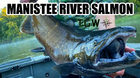 Episode 24: Manistee River Salmon Sizzle Promo