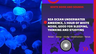 Good For Sleeping, Thinking And Studying, Sea Ocean Underwater Ambience, 1 Hour Of White ‎Noise.