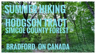 Hodgson Tract-Simcoe County Forest | Bradford, ON 🇨🇦 |Hiking |Relive |Relaxation |July Nature |4K