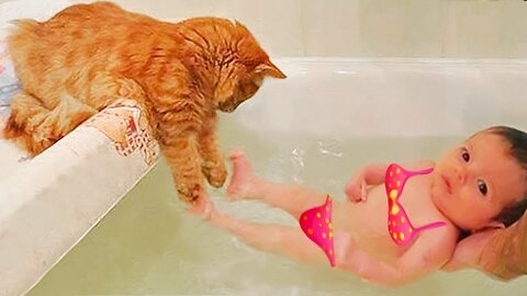 Try Not to Laugh - Funniest Babies Playing with Cats || Cool Peachy