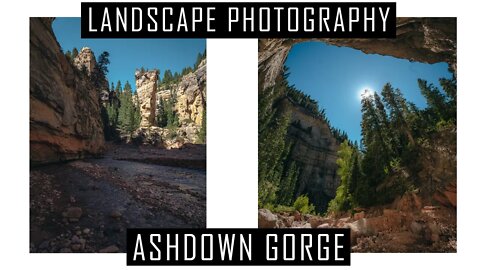 Rugged Canyon Landscape Photography | Lumix G9 | Ashdown Gorge Utah