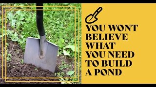 These Are The Things You Need To Build A Pond: MUST WATCH BEFORE BUILDING