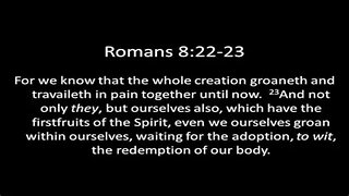 Memesplanation Romans 8:22-23