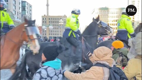 GRAPHIC VIDEO (2 Angels): Police Horses trample Freedom Convoy Demonstrators in Ottawa