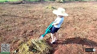 Sucessão familiar: veja o exemplo do pequeno agricultor João Guilherme