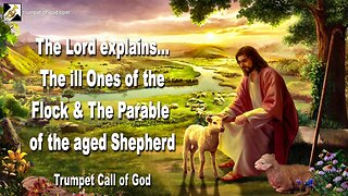 June 5, 2010 🎺 The ill Ones of the Flock need more Attention and Parable of the aged Shepherd