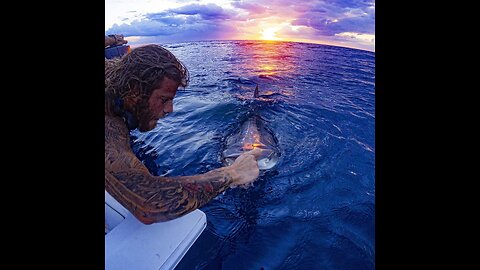 🇮🇹 🦈 Feeding Sharks in Florida 🇺🇸