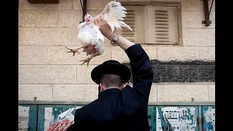 unsanitary cruel chicken slaughter jew kapporos ritual before yom kippur - where's ASPCA & PETA?