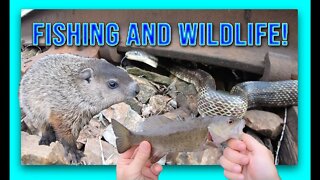 Fishing and WILDLIFE!... what could be better! (SNAKE ENCOUNTER!)