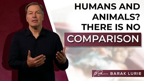 Humans and Animals? There is No Comparison.