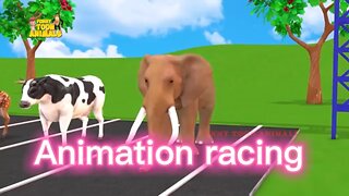 Animation Racing