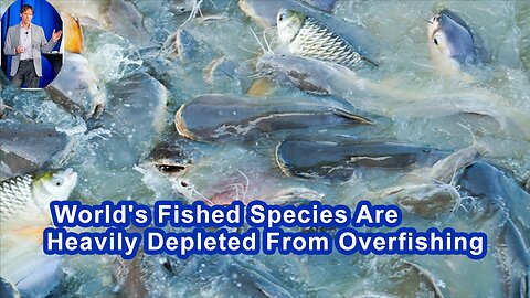 89% Of The World's Fished Species Are Considered Heavily Depleted From Overfishing Practices