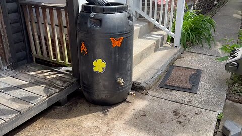 Rain Barrel 5/15/2023