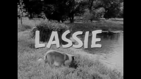 Remembering some of the cast from this classic TV show Lassie 1954