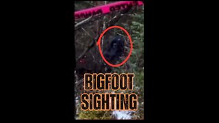 🌲👣 Bigfoot Caught on Camera: Unbelievable Trail Cam Footage 📸