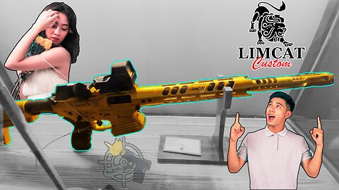 LimCat Custom Guns