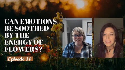 Can Emotions Be Soothed by the Energy of Flowers? | A Modern Healer's Journey #14