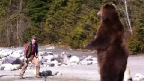 This Grizzly Bear BRUTALLY MAULED Todd Orr As He Scouted Elk