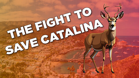 The Fight To Save Catalina!