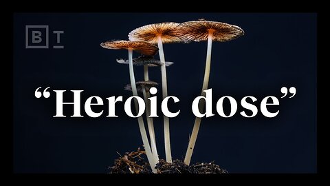 The “heroic dose” of psychedelics, according to Johns Hopkins | Dr. Matthew Johnson