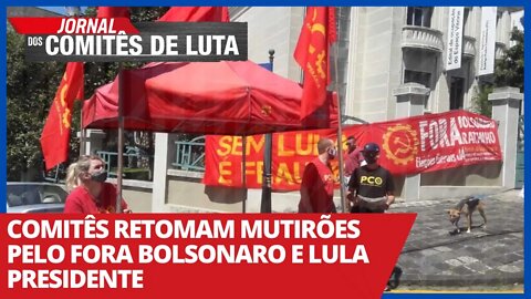 Comitês retomam mutirões pelo Fora Bolsonaro e Lula Presidente -Jornal dos Comitês de Luta- 17/02/21