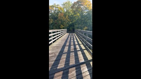 Fall trails running