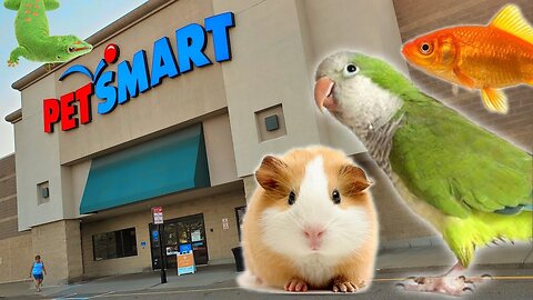 EXPLORING PETSMART ! ANIMAL FRIENDS EVERYWHERE!