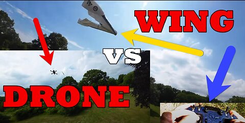 Drone vs Wing | FPV Freestyle & VLOG