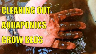 Cleaning Out the Aquaponics & Fires In Australia