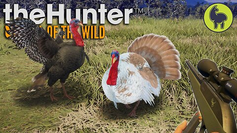 Up Close and Personal (turkey edition) Hunt Club Beta | theHunter: Call of the Wild (PS5 4K 60FPS)