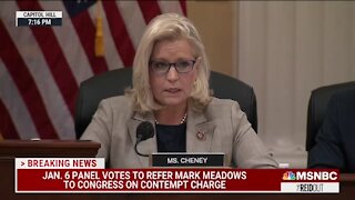 Liz Cheney Gives Away The Agenda Of The January 6 Committee