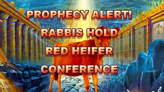 PROPHECY ALERT! RABBIS HOLD RED HEIFER CONFERENCE