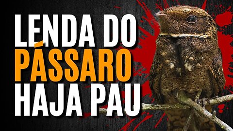 A LENDA DO HAJA PAU - CAUSOS DO MATO