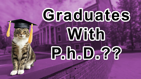 Revealing the Mystery of How a Cat Earned a PhD