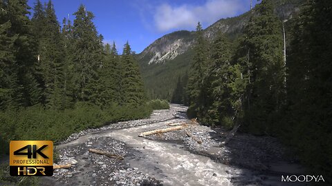 HDR Nature Video - White River Mt. Rainier National Park - Awakened Energy
