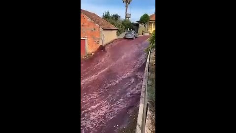 A VIDEO HAS SURFACED : Truck Spills 2.2 Million Litres Of Wine In Portugal Village A video has