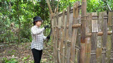 10* Build a bamboo fence around the house to set up animal traps.