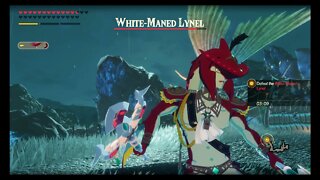 Hyrule Warriors: Age of Calamity - Challenge #139: Sidon vs. the Octoroks (Very Hard)