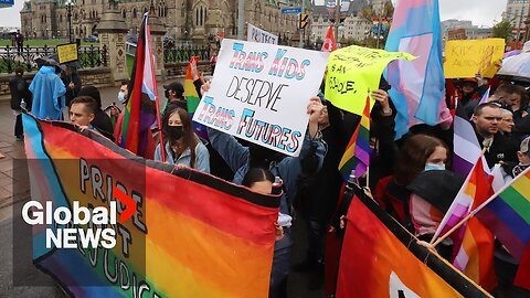 Canada’s support for openness of sexual orientation or gender identity dropped 12% since 2021: poll