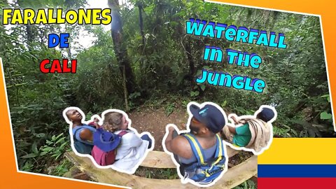 Waterfall In A Jungle in South America | Farallones De Cali