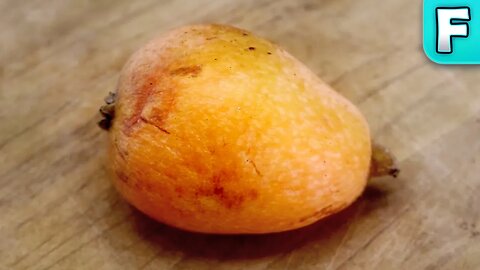 Loquat | Fruits You've Never Heard Of