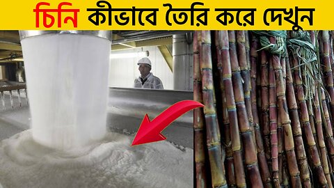 চিনি কিভাবে তৈরি করে ফ্যাক্টরিতে দেখুন/Sugar Making Prosses