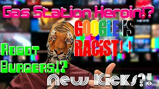 Gas Station Heroin!? Robot Burgers!? Google is Racist!! New Kicks?!