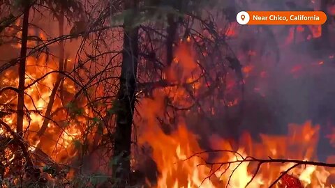 California's 'Park' wildfire doubles in size over the weekend | REUTERS