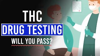 THC Drug Testing: Will you PASS or FAIL?